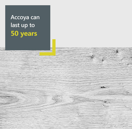 Accoya timber diagram - Our Accoya timber products can last up to 50 years